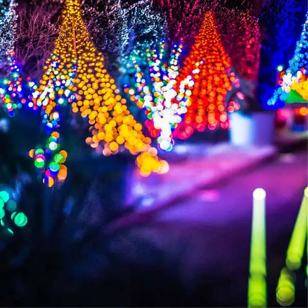 winter wonderlight show Manchester 